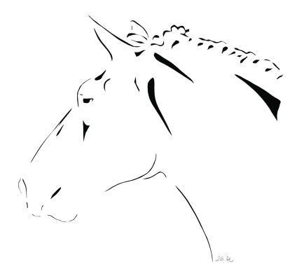 26 - Concours