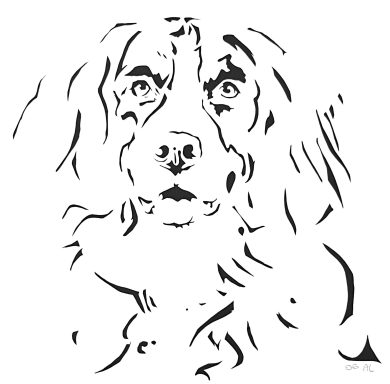 06 - Bouvier Bernois