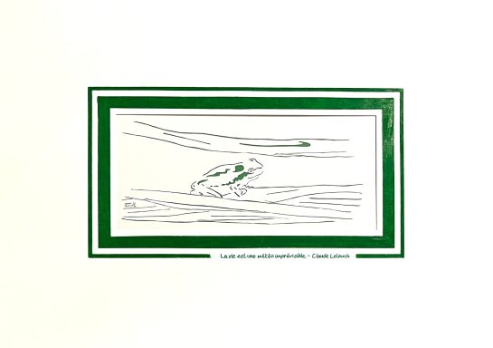51 - Météo