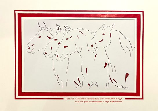 68 - Dynamique