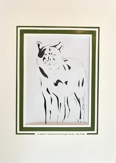 58 - Curiosité