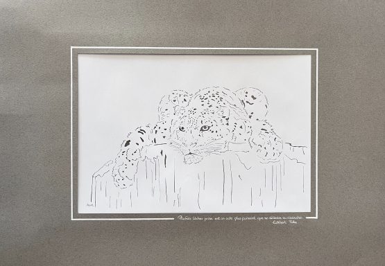 100 - Plénitude